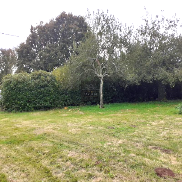 Offres de vente Terrain Elven 56250