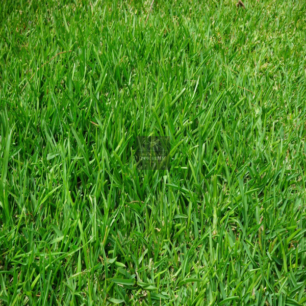 Offres de vente Terrain Saint-Guyomard 56460