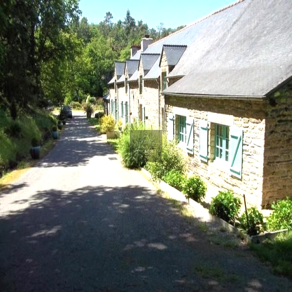 Offres de vente Propriete Plumelec 56420